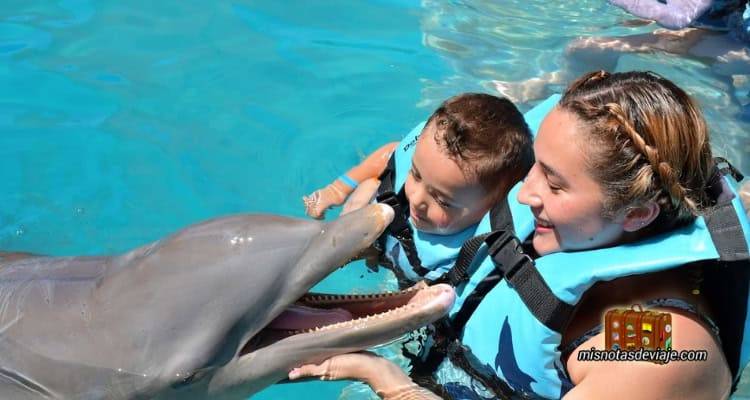 madre e hijo nadando con delfín