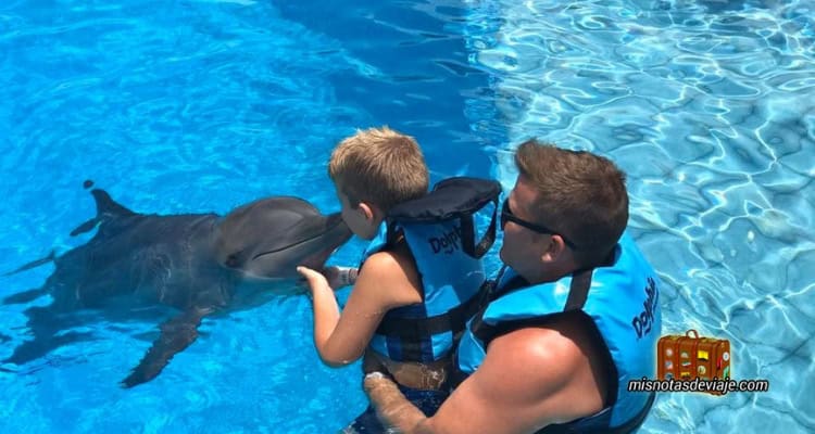 Niño besando a un delfín